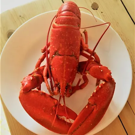 Apartamento St Awaries Studio, Carne *