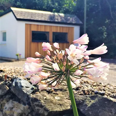 Apartamento St Awaries Studio, Carne *