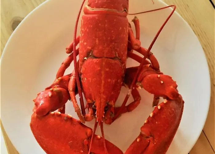 Apartament St Awaries Studio, Carne *