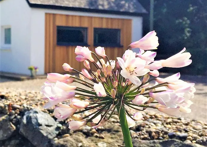 Lejlighed St Awaries Studio, Carne *